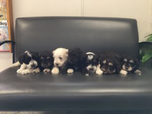 Coffee n Hershey 3 4 26