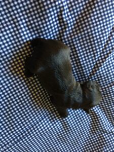 IMG_7837